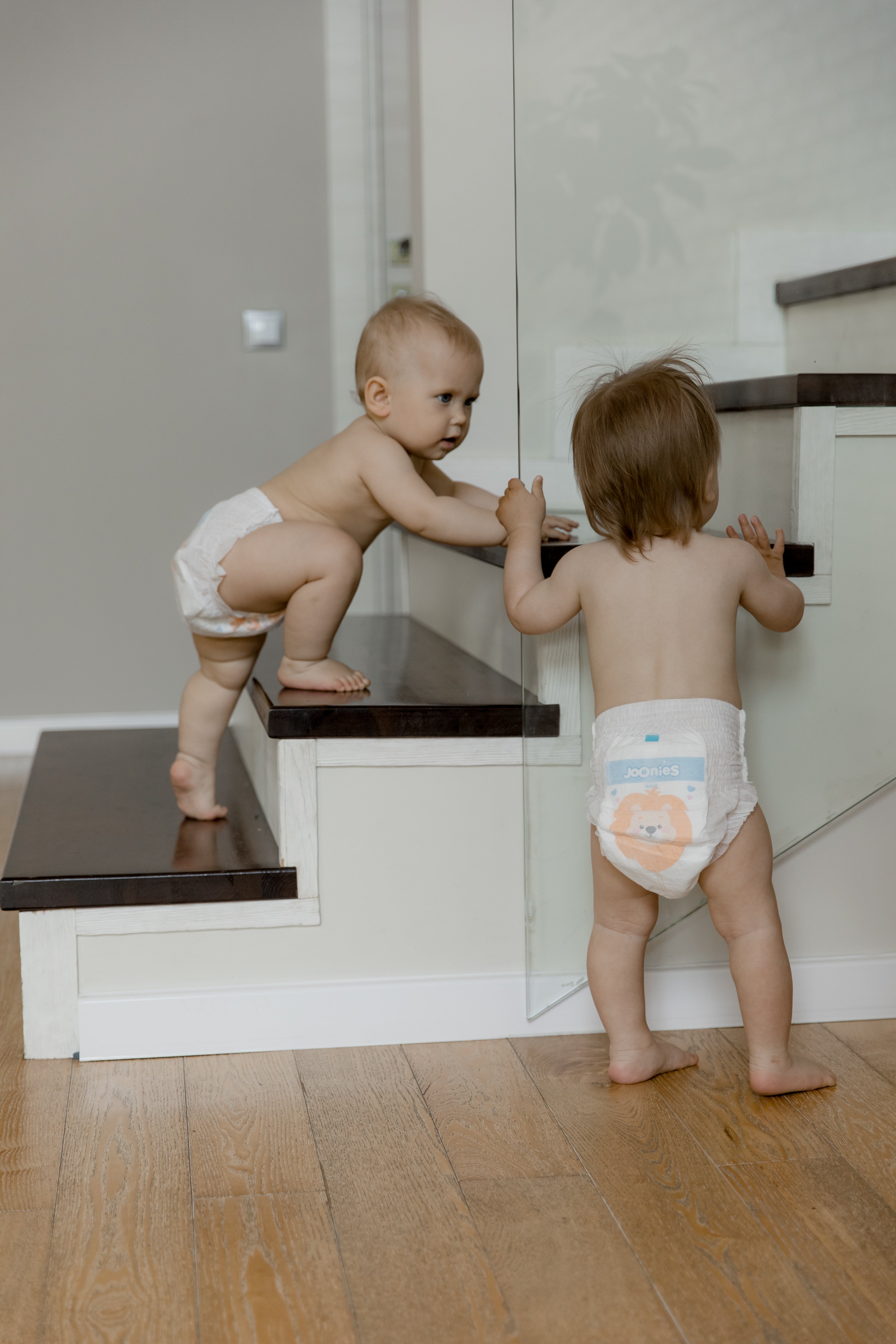 PREMIUM SOFT XL 38, 12-17 KG