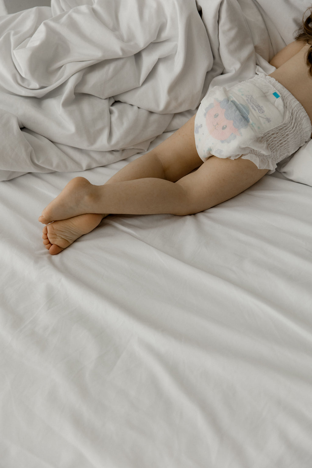 MAGIC NIGHT XL 12-17 KG