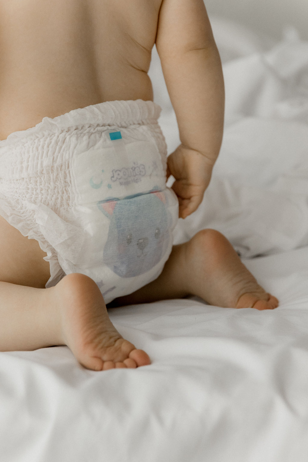 MAGIC NIGHT XL 12-17 KG