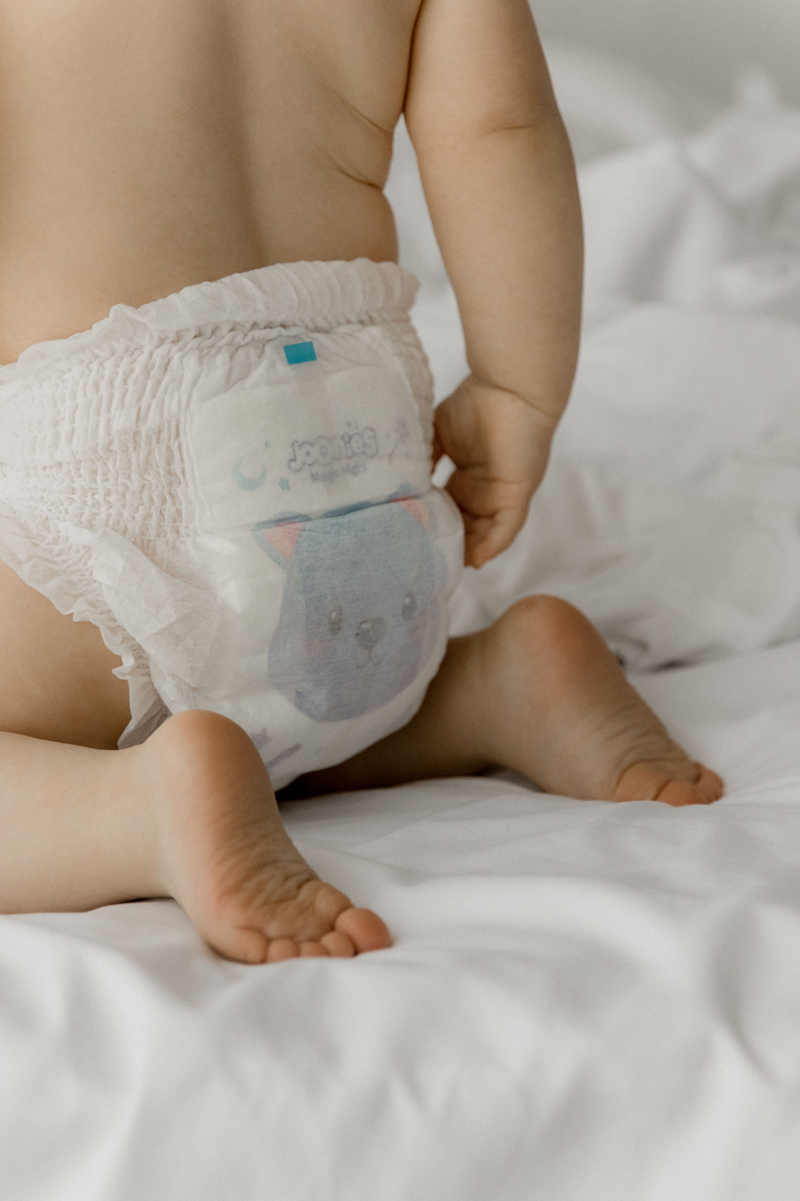 MAGIC NIGHT XL 12-17 KG