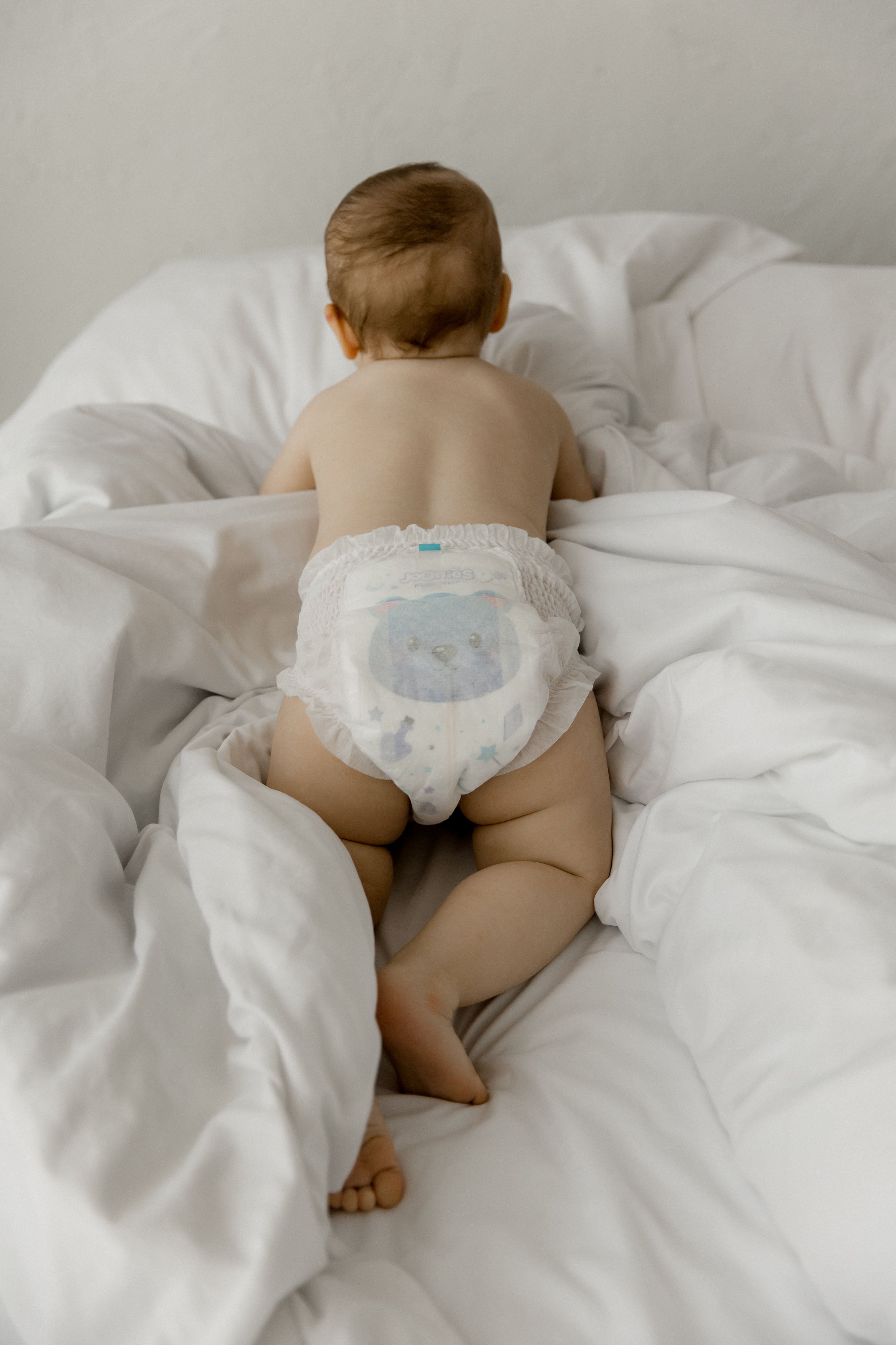 MAGIC NIGHT XL 12-17 KG