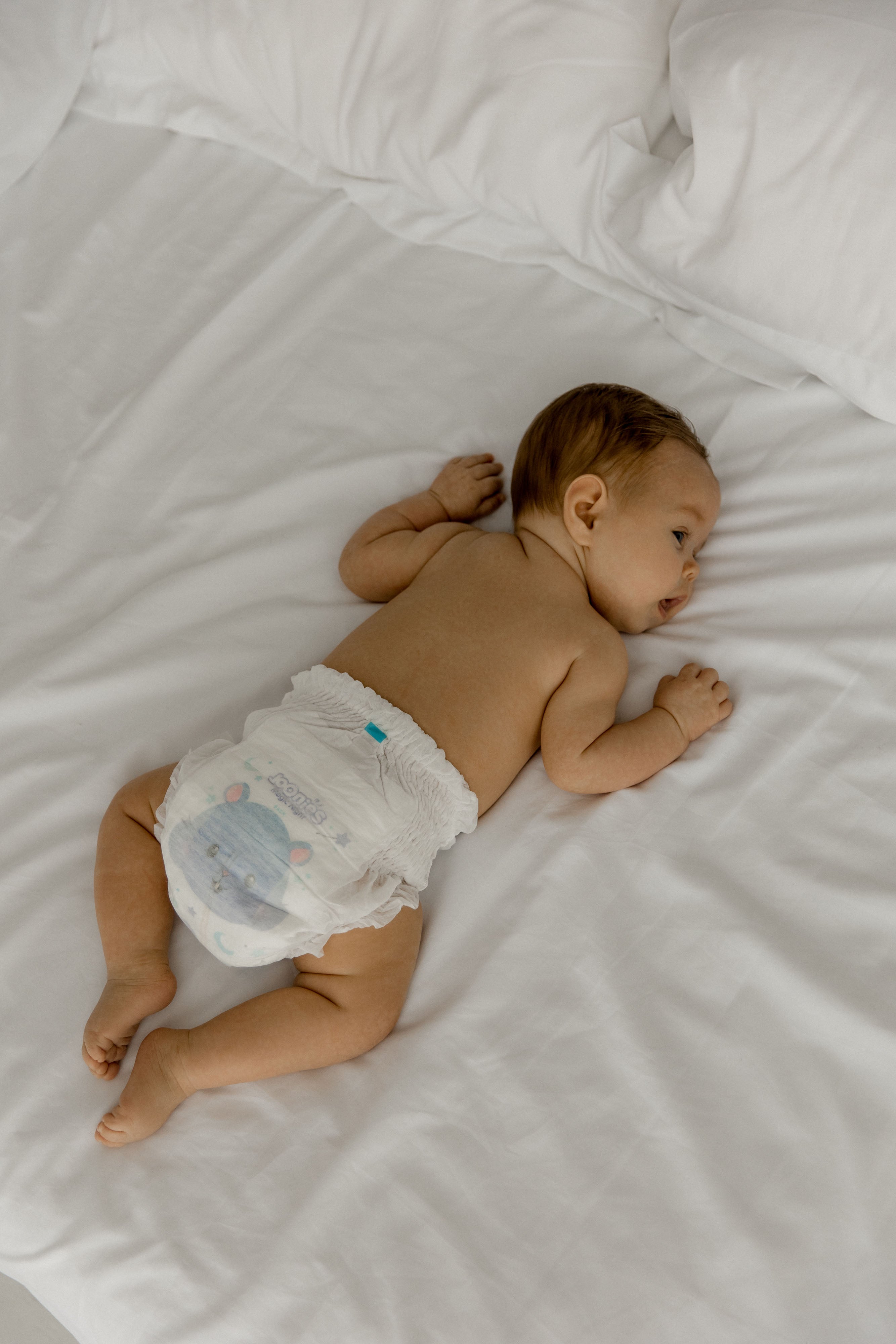 MAGIC NIGHT XL 12-17 KG