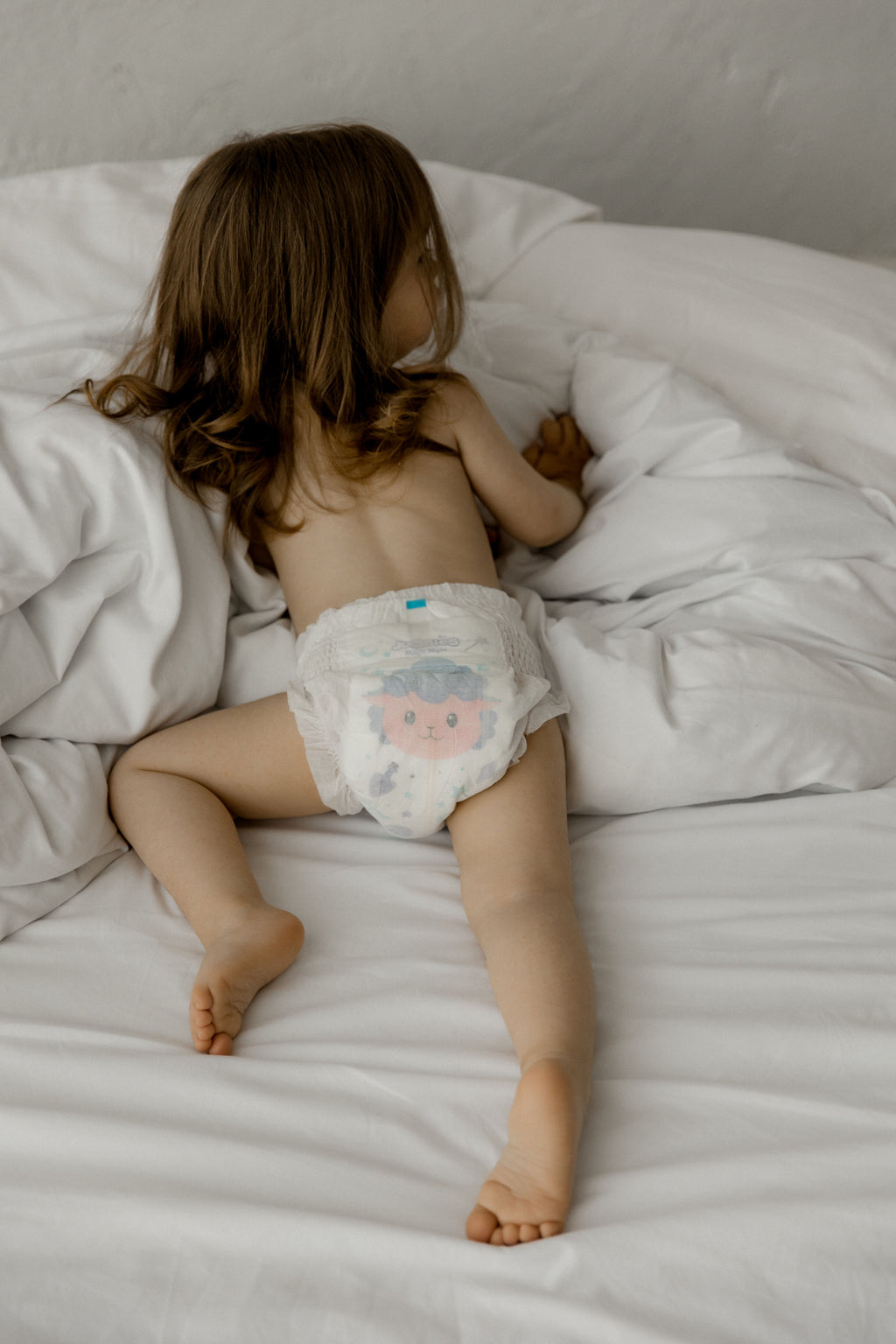 MAGIC NIGHT XL 12-17 KG